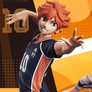 Hinata Shoyo "Haikyu" 100% Original
